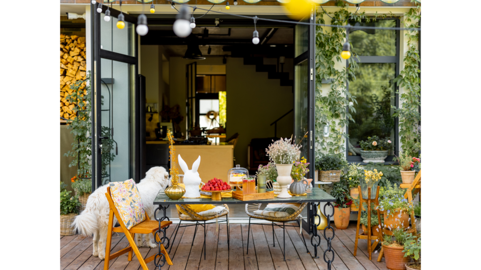 A backyard during the golden hour, capturing the soft, warm light of the setting sun.